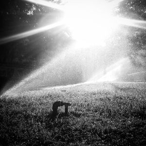 Morning light #2