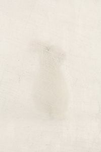 Camouflage_002, 2010