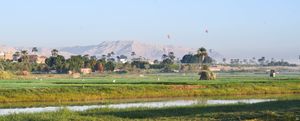 On the Nile