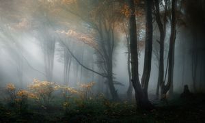 The whiff of the sun