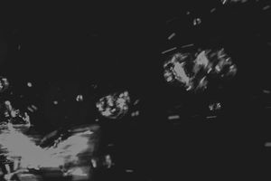 Flight of memories