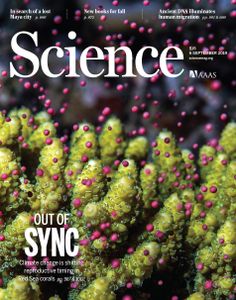 Coral spawning on Science's cover