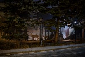 Black Forest