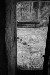 The Ethiopian Orthodox Tewahedo Church of Jerusalem.