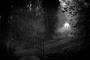 Corona walk