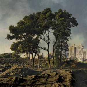 Transient Landscape # 3