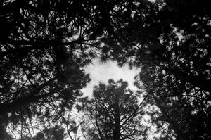 Look up