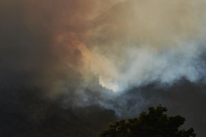 Forest Fire on Table Mountain 1