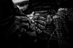 HANDS