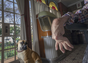 The dog Jesse and Julius.
