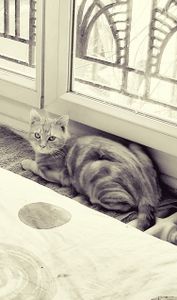 Oscar_1