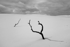 Lençois Maranhenses National Park