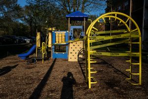 Life in the COVID-19 Pandemic