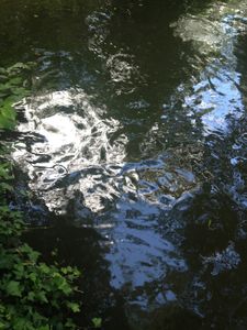 Contempt ( le mépris )
