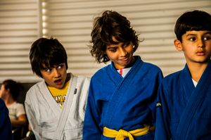 The Three Monkeys