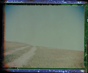 Deena Feinberg - Untitled