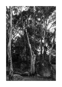Human Nature- Namadgi - Australia #6