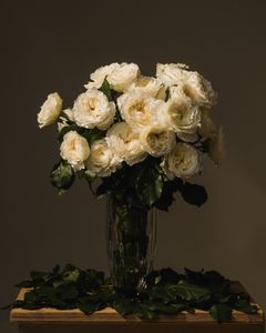 Roman de la Rose