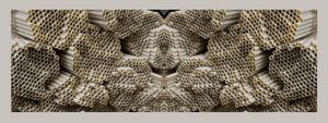 Disarrayed Symmetry 05