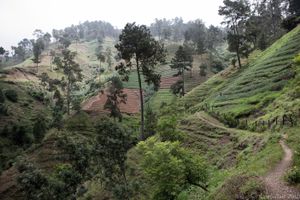 Scenery of the surrounding