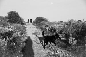 Vouliagmeni Hill