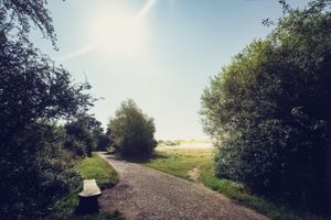 Sun Off Moon - Ashtead Common