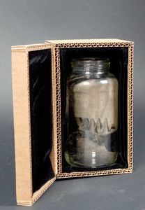 Egg Carton