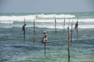 Traditional stilt fishermen at waiting for their catch.
