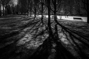 Through the Shadows