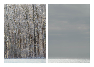 Diptych V