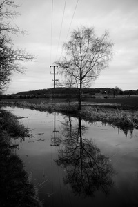 Stourbridge Canal