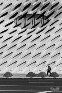 Man walking past the Broad building  in Los Angeles