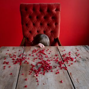 The Pomegranate Seeds, Scout, Rockport, Maine, 2012 © Cig Harvey, Robert Mann Gallery