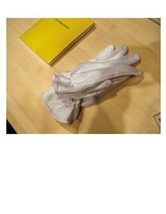 Plate 3:  Two gloves and Ed Ruscha's artist's book "COLORED PEOPLE," 1972, photo 2006-LK.