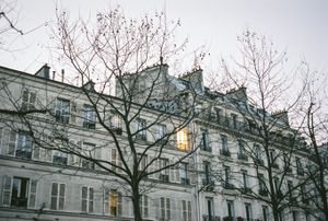 2006_6