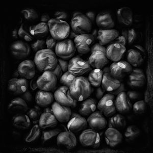 Buckeyes for Good Luck