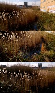 Anderlecht, behind Atlas brewery.