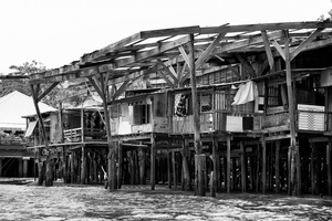 Bangkok River Shacks