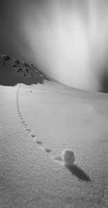 High Mountain Scenes-6