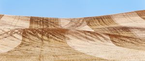 Palouse, WA. Study #59                        (47 2.3042N - 117 15.2544W)