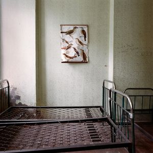 Work from series "Ilgas"