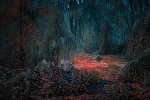 Secret Garden no 315