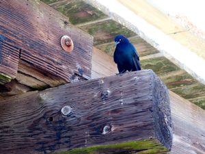 Kure Beach 21