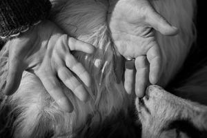 Hands of a nation