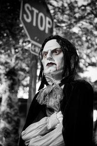 Vampire Crossing