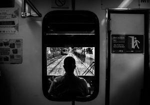 Tren Ligero