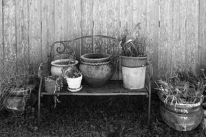 Weathered Bench