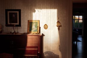 Evening Sun (Rembrandt), 2011