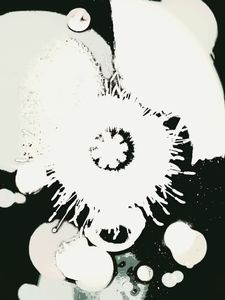 Metamorphosis 83
