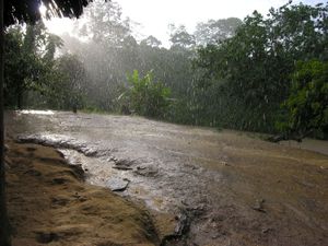 "Tanguntsa"
